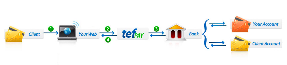 Outline of operation tefpay